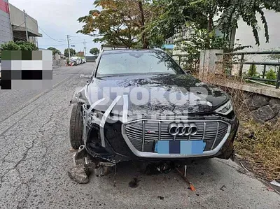 2021, Audi / e-tron, 100000 км., electric, 240 куб.см.