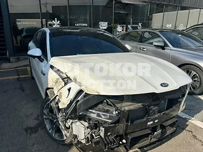 2021, Kia / K5, VIN: KNAG541JBMA016570, hybrid