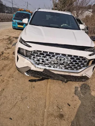 2021, Hyundai / Santa FE, VIN: KMHS381HGMU310412, 162696 км., diesel, 2200 куб.см.