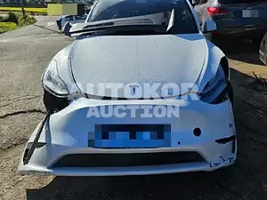 2021, Tesla / Model Y, 50000 км., electric, 158 куб.см.