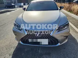 2021, Lexus / ES 300, VIN: JTHBA1C11N2009431, 22045 км., hybrid, 2204 куб.см.