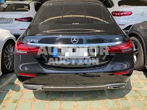 2022, Mercedes-Benz / E 250, VIN: W1KZF4FB3NB025143, unknown