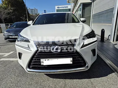 2017, Lexus / NX 300, VIN: JTJBJRBZ2J2082841, hybrid