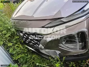 2018, Hyundai / Santa FE, VIN: KMHS381ABKU125516, 52174 км., gas