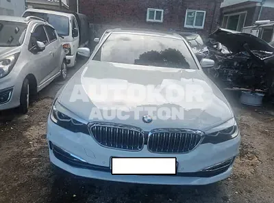 2019, BMW / 520, VIN: WBAJK7106KGL29413, 31155 км., gas