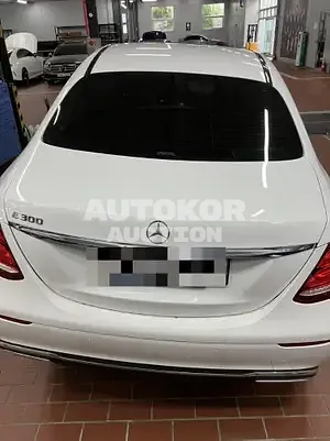 2019, Mercedes-Benz / E 300, VIN: WDDZF4JB8KA680746, 53698 км., gas