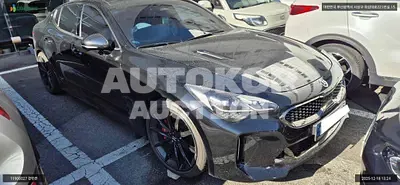 2023, Kia / Stinger, VIN: KNAE551CBPS135844, 30119 км., gas, 3342 куб.см.