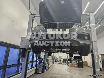 2018, BMW / 320, 66578 км., gas