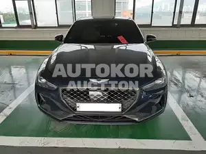 2019, Genesis / G70, VIN: KMTG341ABKU040269, gas