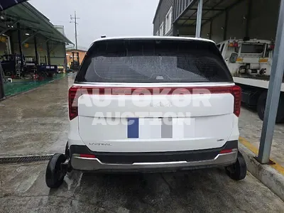 2024, Kia / Carnival, VIN: KNANE81ABSS058010, 8000 км., hybrid, 1598 куб.см.