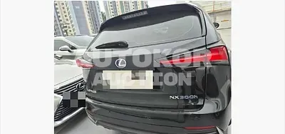 2020, Lexus / NX 300, 48514 км., hybrid, 2494 куб.см.