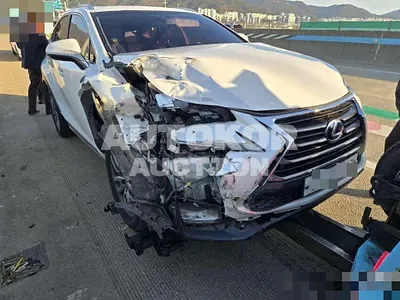 2015, Lexus / NX 300, 216040 км., hybrid