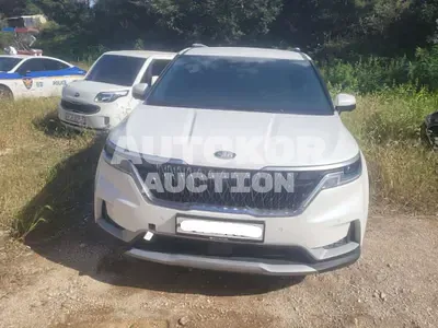 2021, Kia / Carnival, VIN: KNANB81BBMS029576, diesel