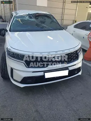 2020, Kia / Sorento, VIN: KNARF81BGMA051037, diesel