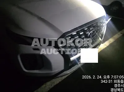 2019, Hyundai / Palisade, VIN: KMHR381EBKU010212, 40472 км., diesel