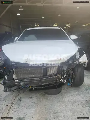 2017, Hyundai / Santa FE, VIN: KMHSW81UBJU827530, diesel