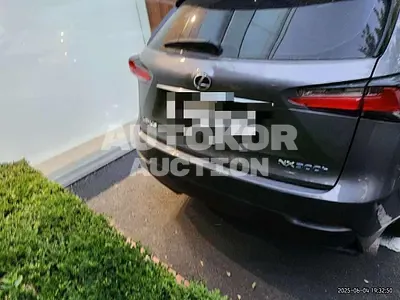 2017, Lexus / NX 300, 51753 км., hybrid