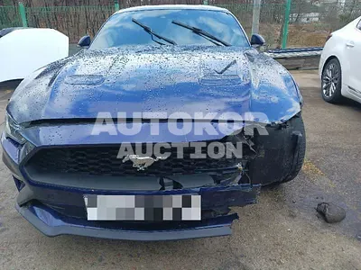 2019, Ford / Mustang, 49900 км., gas, 2300 куб.см.