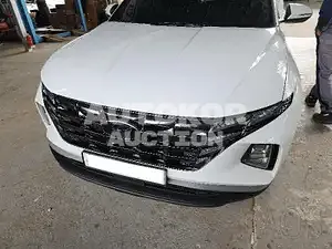 2021, Hyundai / Tucson, VIN: KMHJB81CBMU043058, diesel