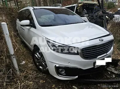 2018, Kia / Carnival, VIN: KNAMD81ABJS411103, 178244 км., gas