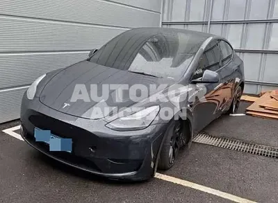 2025, Tesla / Model Y, VIN: LRWYGCFS0SC932559, electric