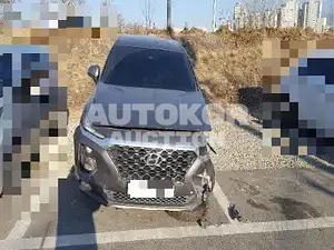 2019, Hyundai / Santa FE, VIN: KMHS281BDLU224822, diesel