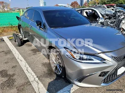 2019, Lexus / ES 300, VIN: JTHB21B17K2026616, hybrid