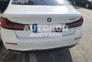 2022, BMW / 520, gas