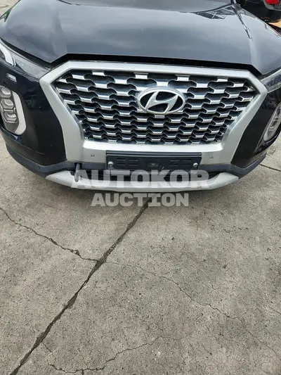 2019, Hyundai / Palisade, VIN: KMHR381ABLU099273, 390151 км., diesel, 2200 куб.см.