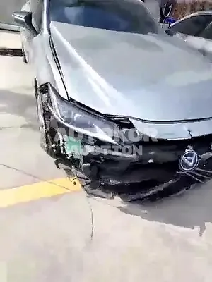 2019, Lexus / ES 300, VIN: JTHB21B13K2048838, hybrid