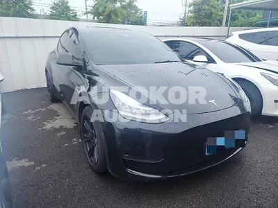 2021, Tesla / Model Y, VIN: 5YJYGDEE9MF167622, 52491 км., electric, 236 куб.см.