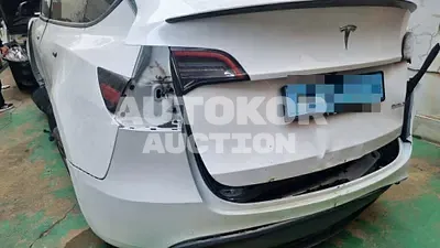 2021, Tesla / Model Y, electric