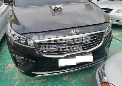 2019, Kia / Carnival, VIN: KNAME81ABKS500115, diesel