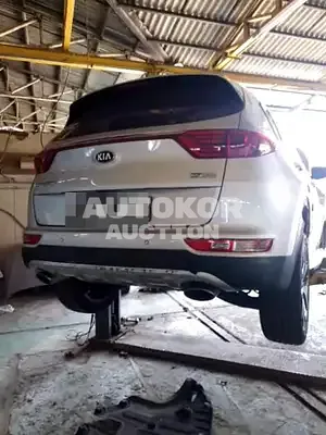 2016, Kia / Sportage, VIN: KNAPN813BGK042418, diesel, 1999 куб.см.