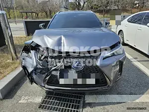 2021, Lexus / UX 250, VIN: JTHR6JBH4M2103204, 44688 км., hybrid