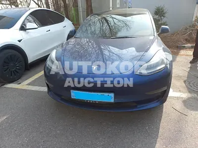 2022, Tesla / Model 3, VIN: 5YJ3E1EB0NF229513, electric