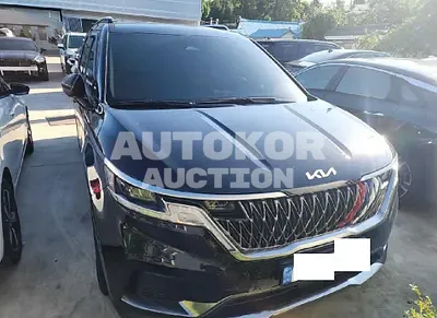 2023, Kia / Carnival, VIN: KNANC81BBPS338254, 6500 км., diesel