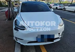 2022, Tesla / Model Y, VIN: 7SAYGDEE2NF423412, electric