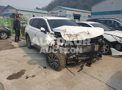 2019, Hyundai / Santa FE, VIN: KMHS281BDKU136900, diesel