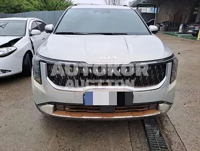 2024, Kia / Carnival, VIN: KNANC81BBRS437189, 2500 км., diesel, 2151 куб.см.