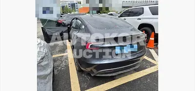 2025, Tesla / Model 3, 7964 км., electric, 180 куб.см.