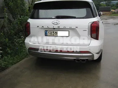 2022, Hyundai / Palisade, VIN: KMHR581ADPU500720, 78195 км., diesel
