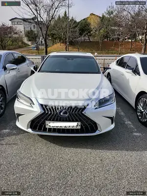 2022, Lexus / ES 300, VIN: JTHBA1C10N2009517, hybrid