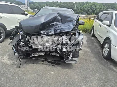 2024, Kia / Sportage, VIN: KNAPV81JBRK306194, 40931 км., lpg, 1999 куб.см.