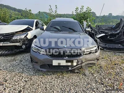 2019, BMW / 320, 74074 км., diesel