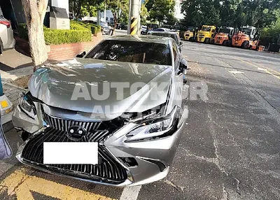 2019, Lexus / ES 300, VIN: JTHB21B1XK2003525, 45694 км., hybrid