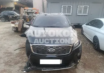 2020, Kia / Sorento, VIN: KNAPH81BBLA567645, 59720 км., diesel