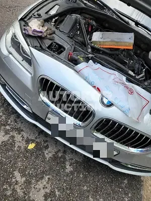 2016, BMW / 520, VIN: WBA5E7102GG157400, 180000 км., diesel