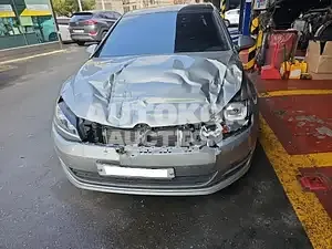 2016, Volkswagen / Golf, VIN: WVWZZZAUZGW282013, gas