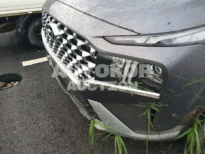 2021, Hyundai / Santa FE, VIN: KMHS381HGMU388648, diesel